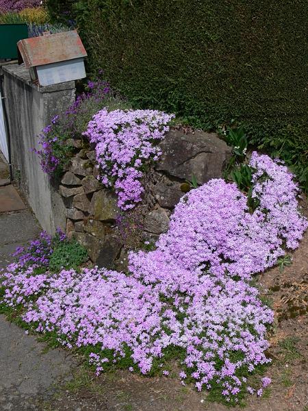 Mont Saint Michel 2010 - 268.jpg